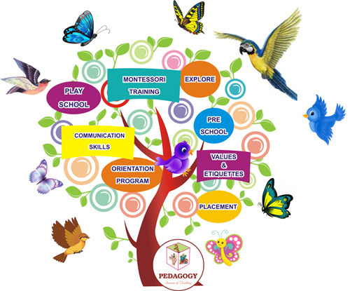 PEDAGOGY PLACEMENT TREE  - PEDAGOGY- MONTESSORI PLAY SCHOOL